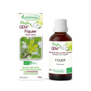 Figuier Bio – Gemmothérapie