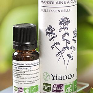 Huile essentielle Marjolaine à Coquille bio – 10ml