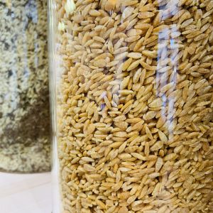 Riso piment d’Espelette – bio et local