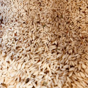 Riso à l’Italienne local – bio